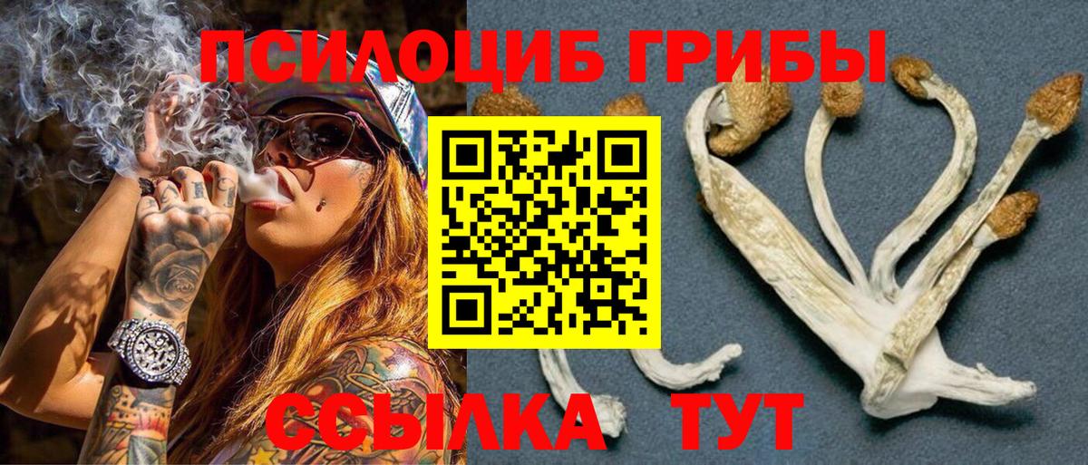 Псилоцибиновые грибы GOLDEN TEACHER Пенза