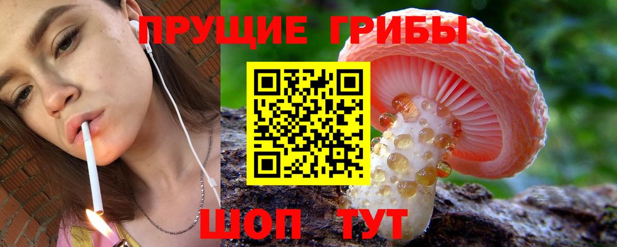 Галлюциногенные грибы ЛСД  Вход с VPN  Пенза 